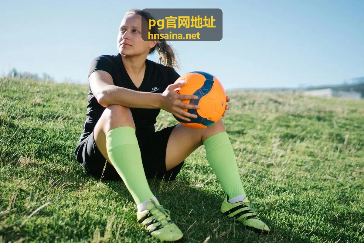 pg官网地址使用说明中的页面操作示意