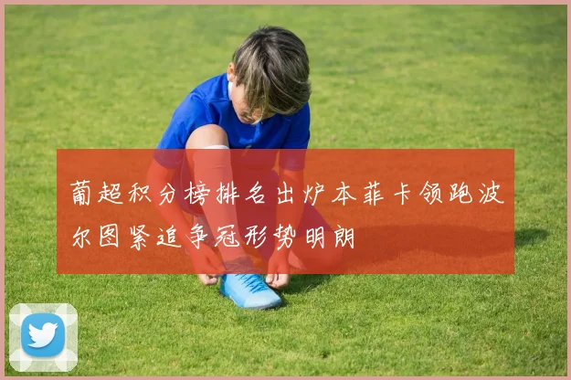 葡超积分榜排名出炉本菲卡领跑波尔图紧追争冠形势明朗