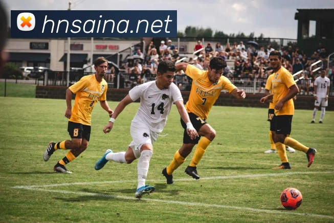 世界杯开户平台APP 封面图